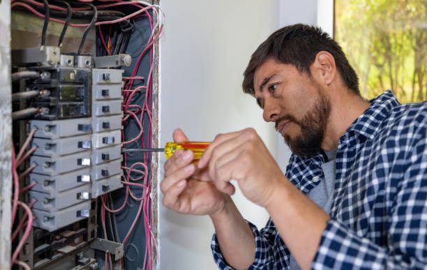 Best Generator Installation Services  in Eagle Lake, WI